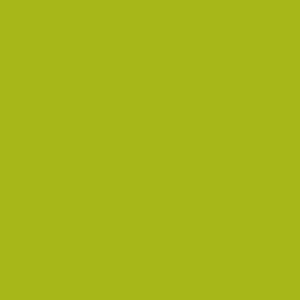 Client-06